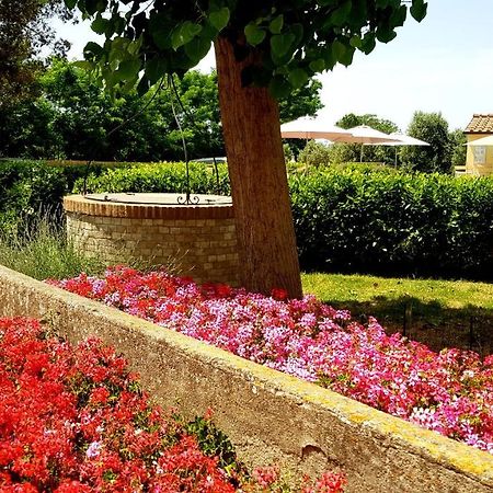Villa Punta Dei Lecci à Riparbella Extérieur photo