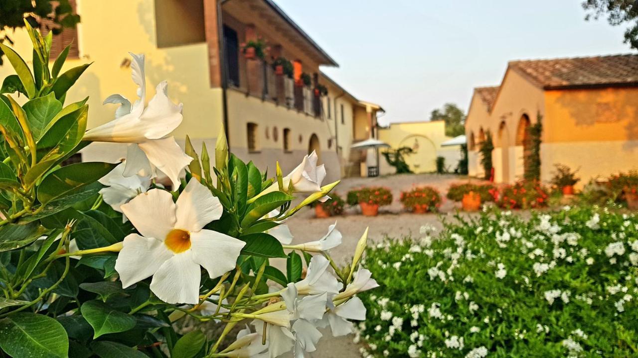 Villa Punta Dei Lecci à Riparbella Extérieur photo