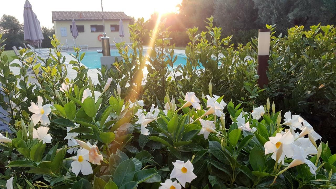Villa Punta Dei Lecci à Riparbella Extérieur photo