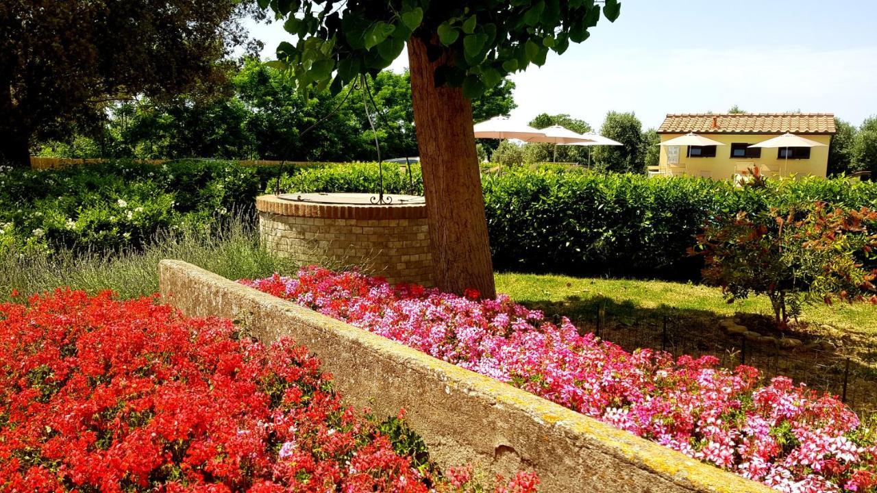 Villa Punta Dei Lecci à Riparbella Extérieur photo